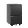 Rolling Lock & File Cabinet