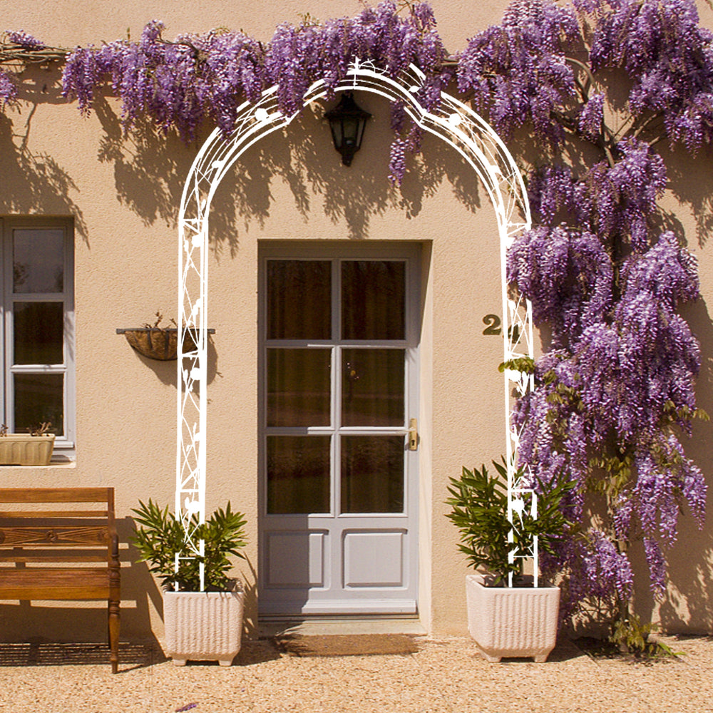 Charming Garden Arch for Climbing Plants & Celebrations