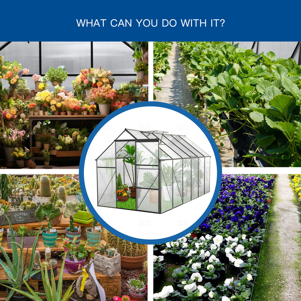 Ultimate Outdoor Greenhouse - Heavy Duty Walk-In for All Seasons