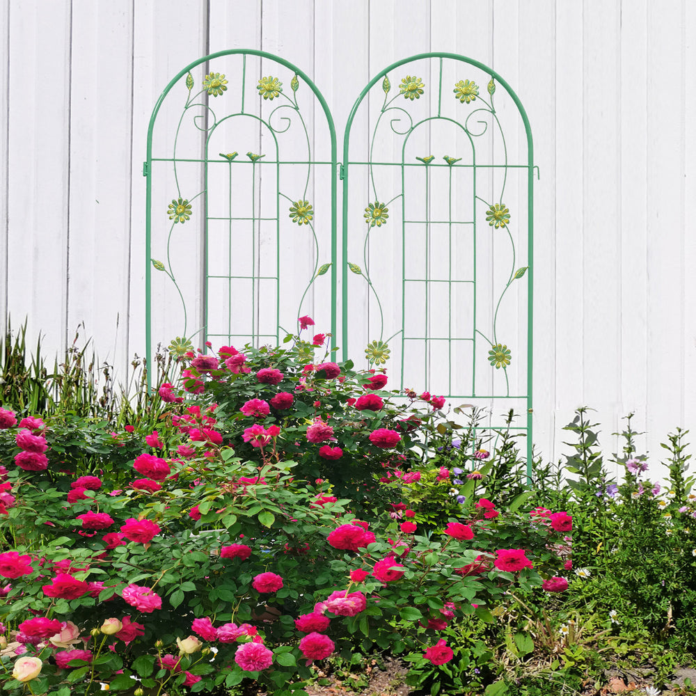 Rustproof Garden Trellis Duo for Climbing Plants