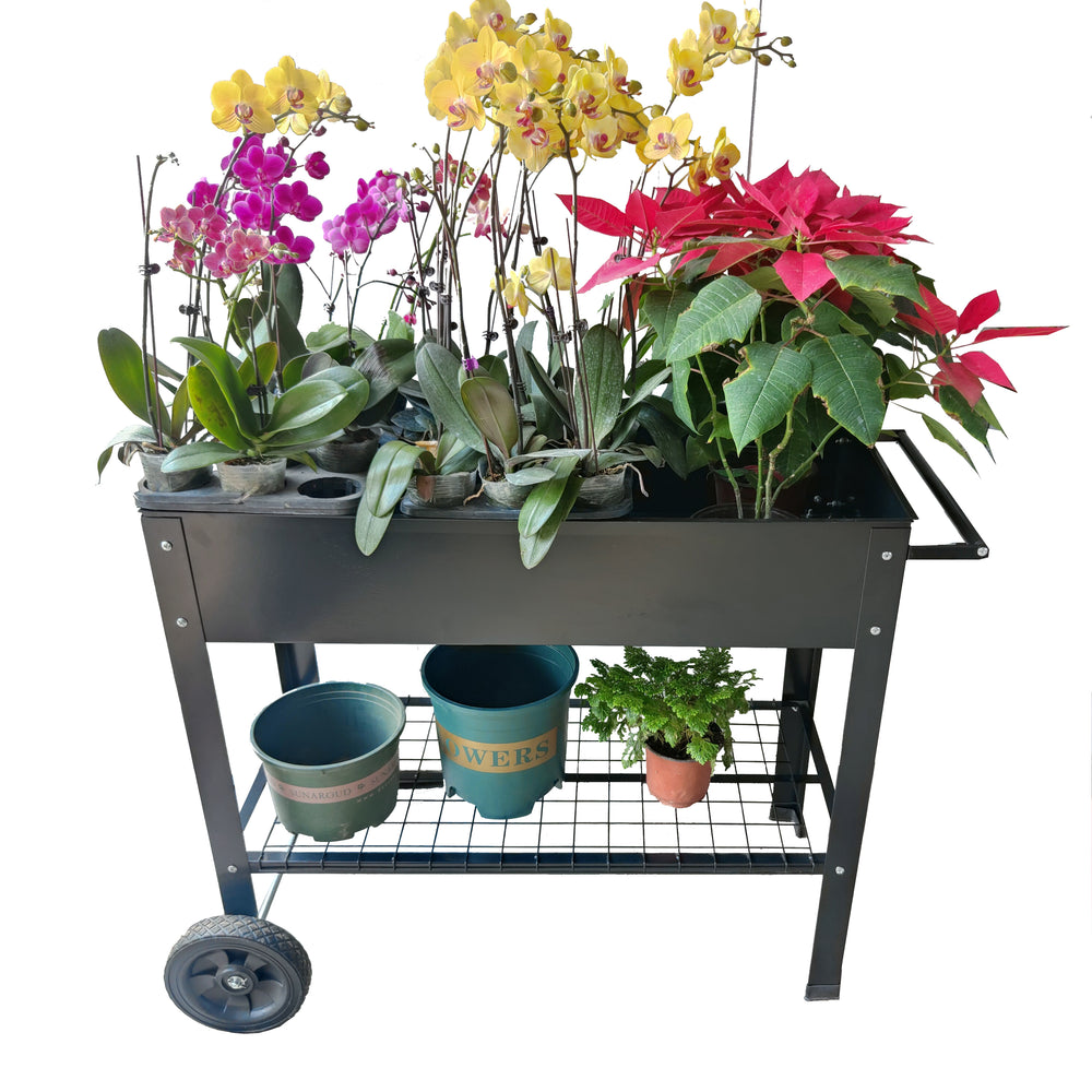 Garden Cart Planter with Wheels - Mobile Elevated Bed for Herbs & Veggies