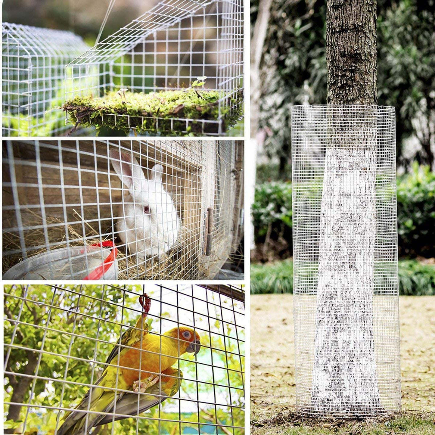 Galvanized Chicken Wire Roll for Garden and Pet Fencing