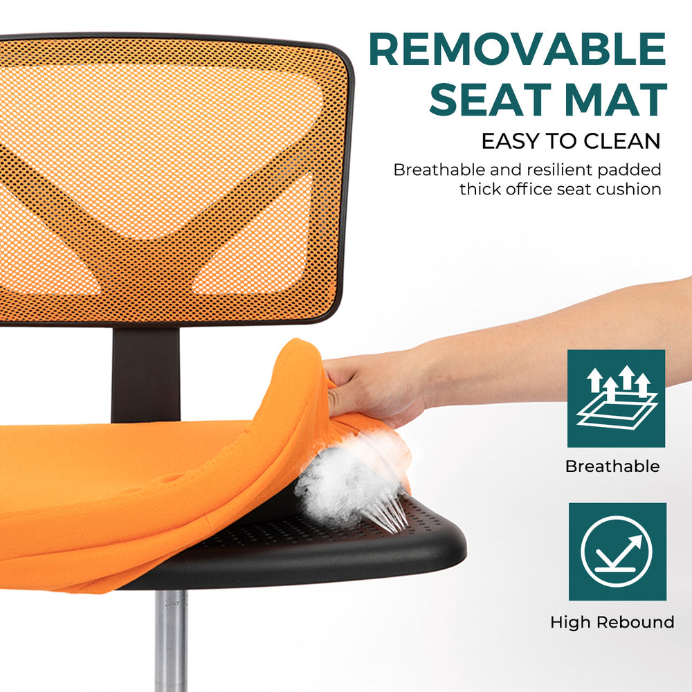 Cozy Lumbar Support Desk Chair