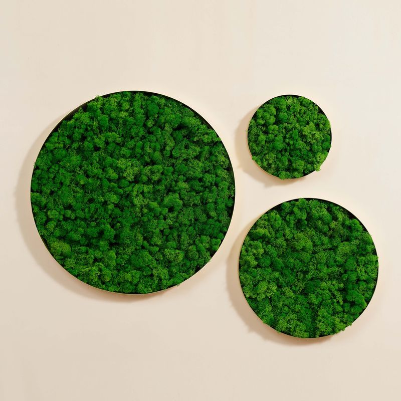 Lush Moss Round Wall Art