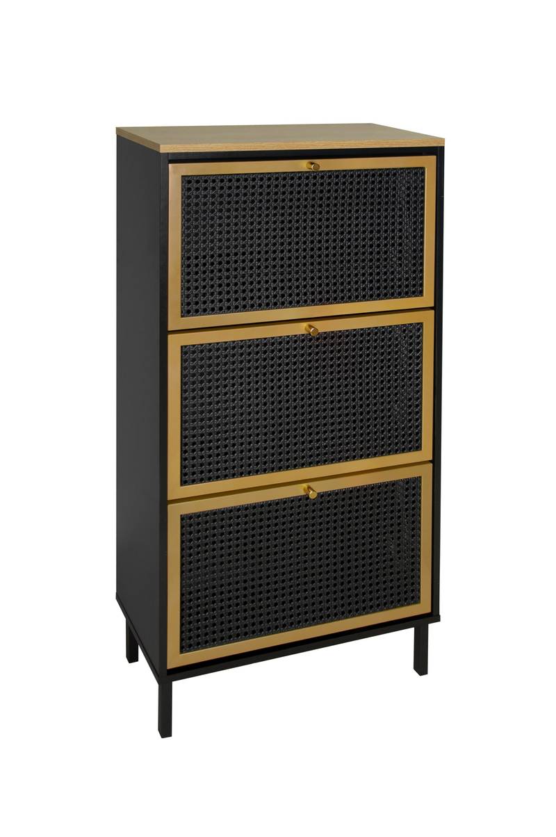 Chic Metal Shoe Rack for Entryway