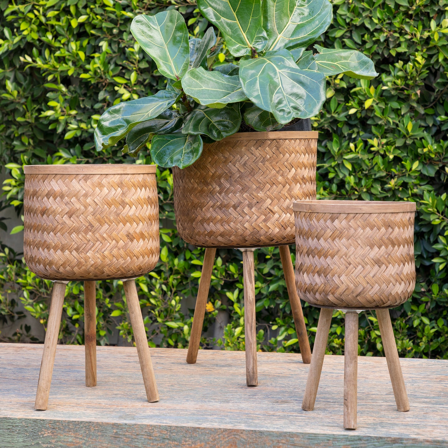 Stylish Bamboo Planter Set