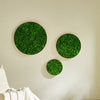 Chic Moss Wall Art - Small Frame Edition