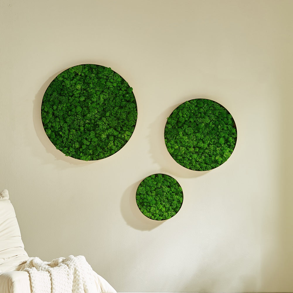 Lush Moss Round Wall Art