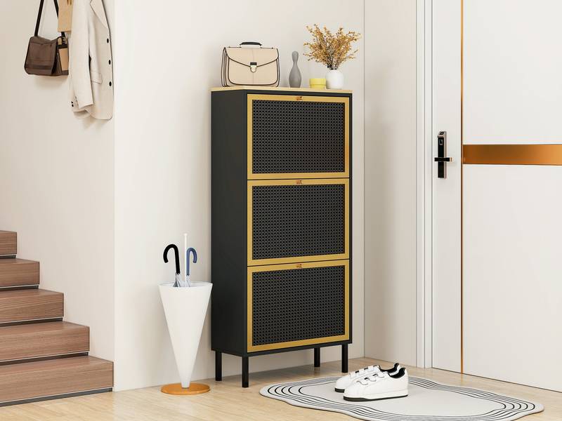 Chic Metal Shoe Rack for Entryway