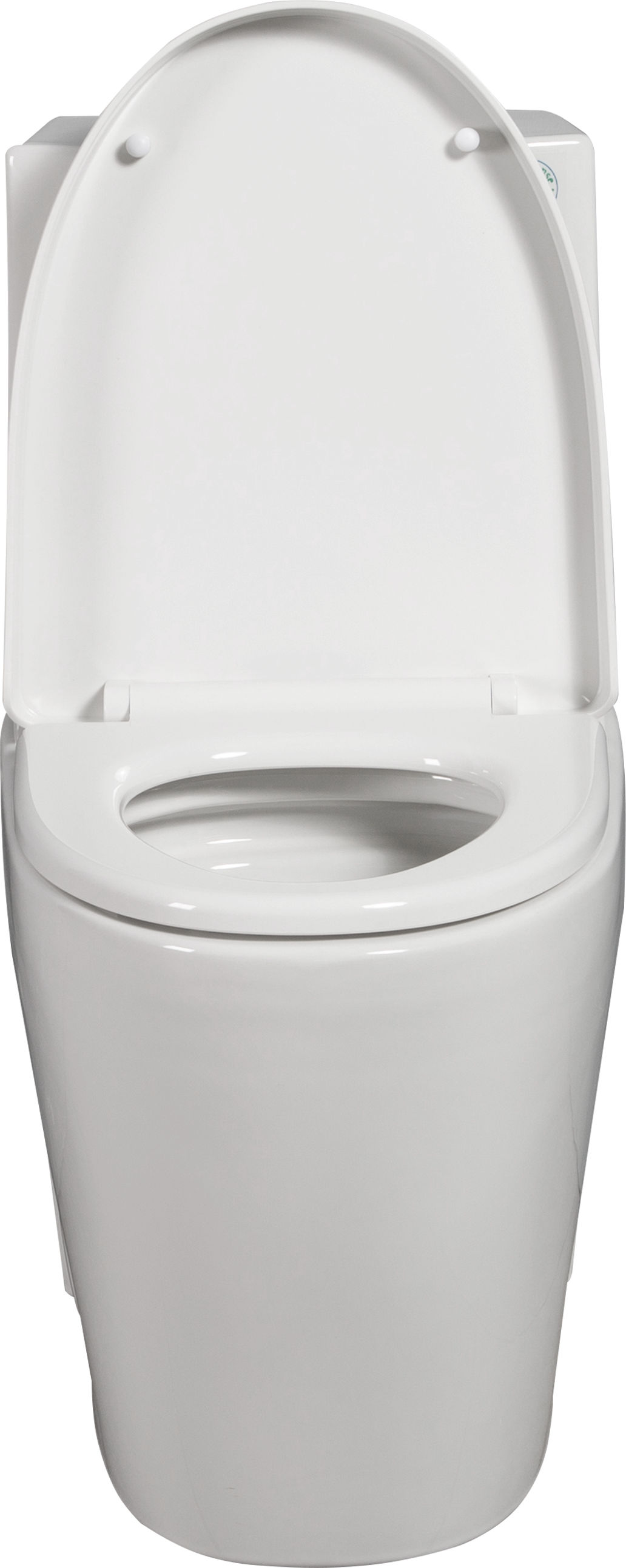 Eco-Friendly Comfort Toilet with Soft Close Seat