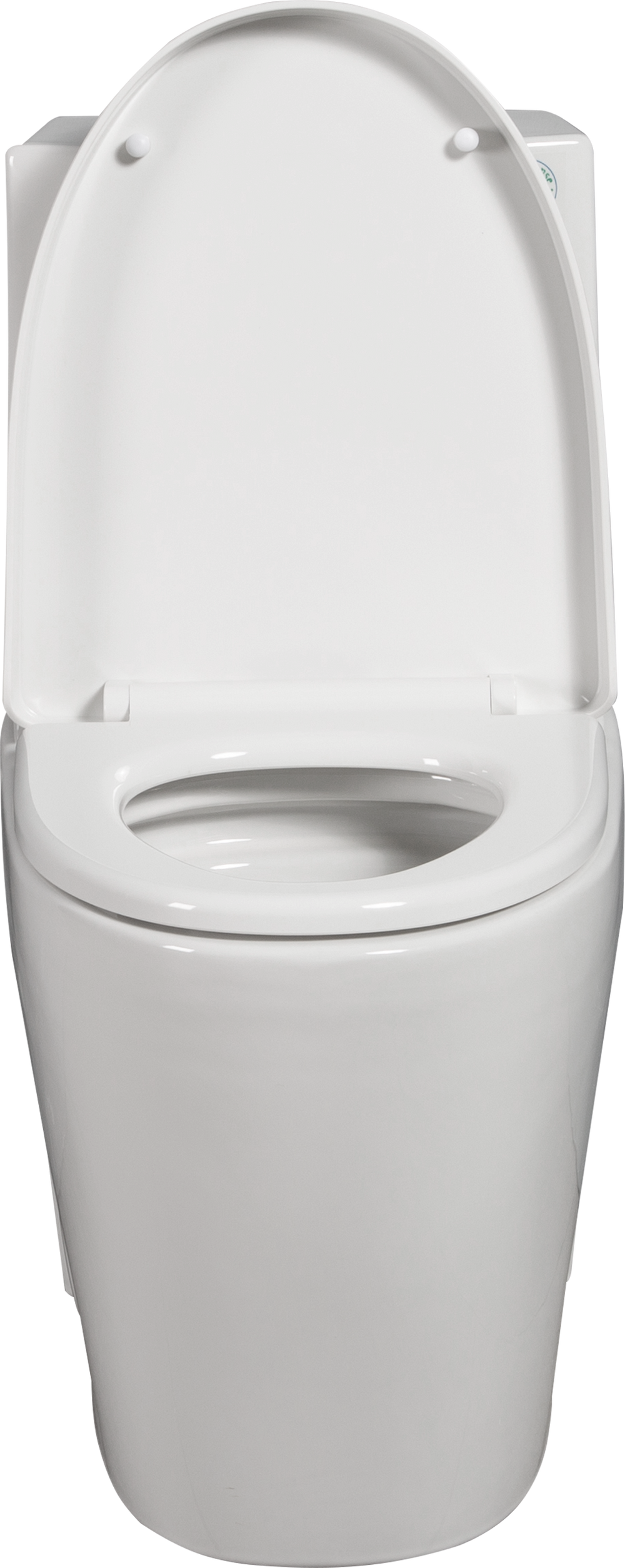 Eco-Friendly Comfort Toilet with Soft Close Seat