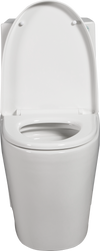 Eco-Friendly Comfort Toilet with Soft Close Seat