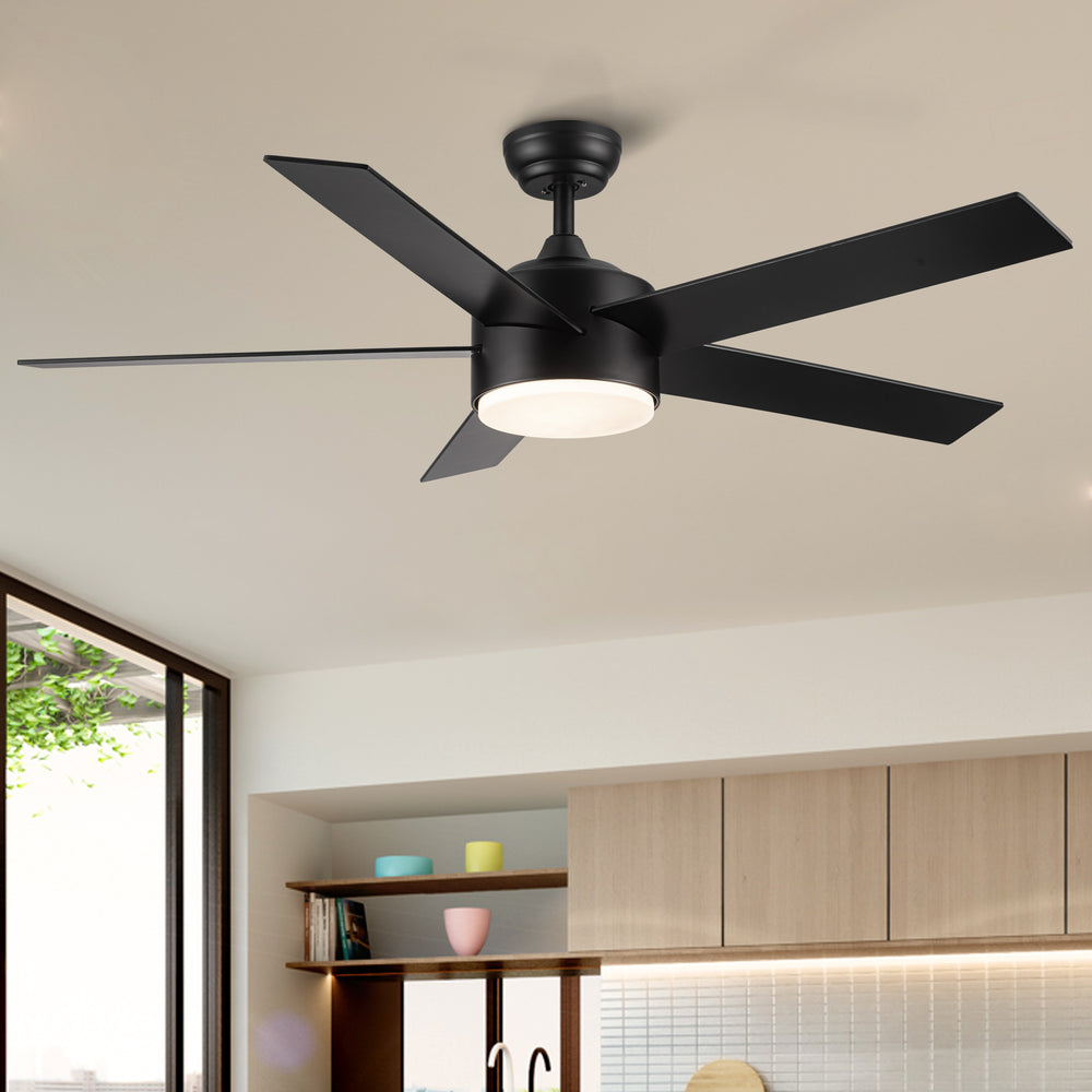 Sleek Black Ceiling Fan with Light