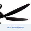 Sleek LED Ceiling Fan with Black Blades