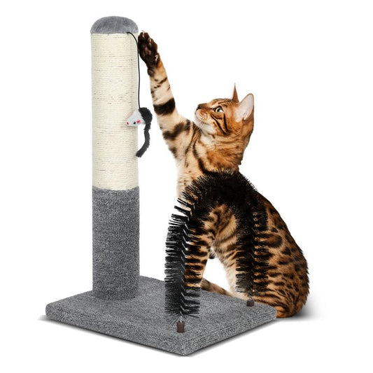 Cozy Cat Scratch & Groom Station