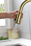 Effortless Elegance Kitchen Faucet with Pull-Down Sprayer
