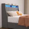 Elegant Grey Queen Bed Frame with LED & Storage Drawers