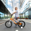 Kid's Freestyle Bike with Training Wheels