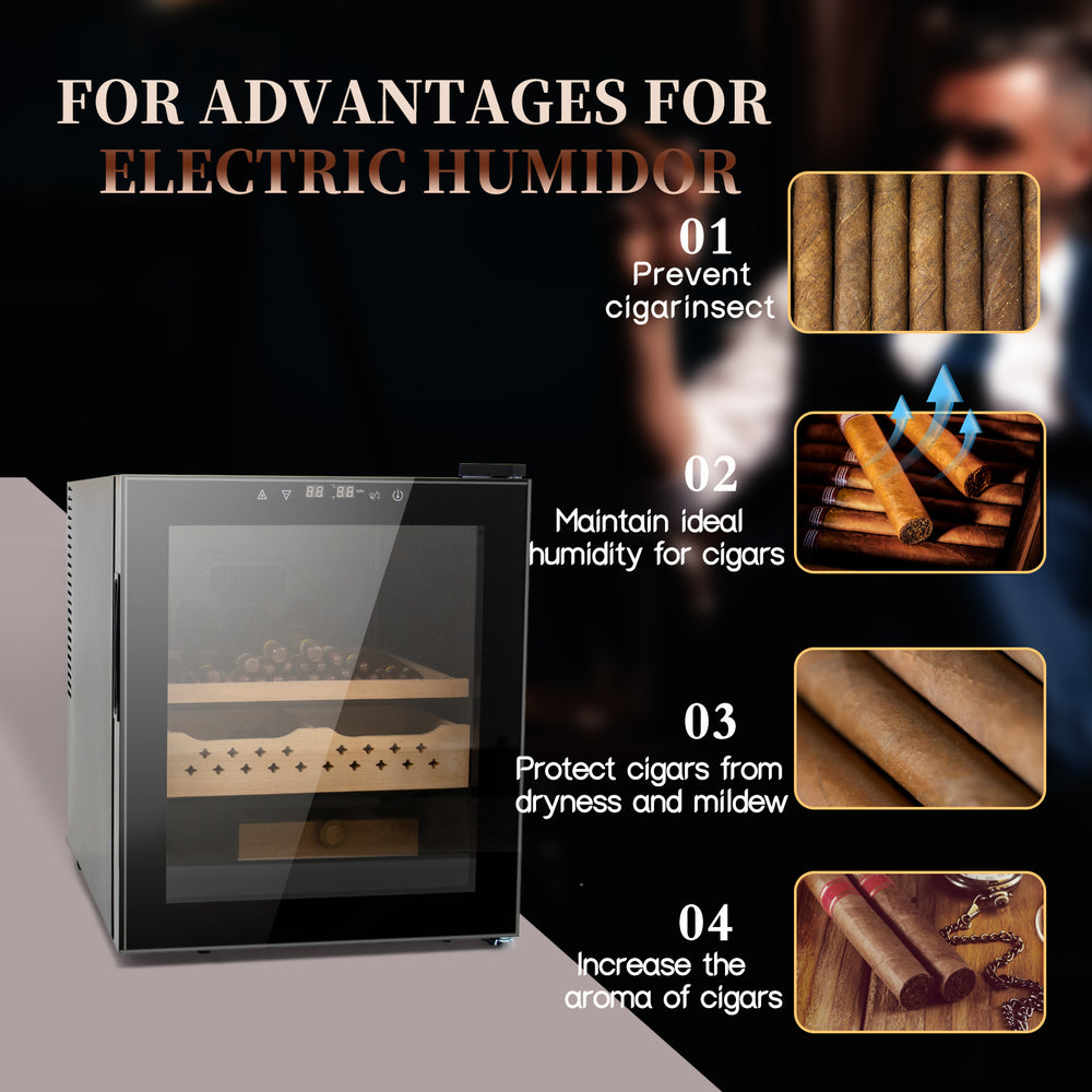 Cigar Oasis: All-in-One Humidor for Perfectly Preserved Cigars