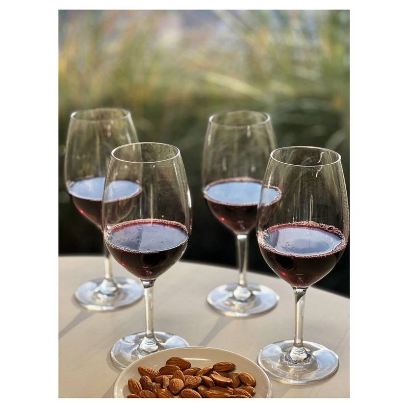 Unbreakable Wine Glasses Set