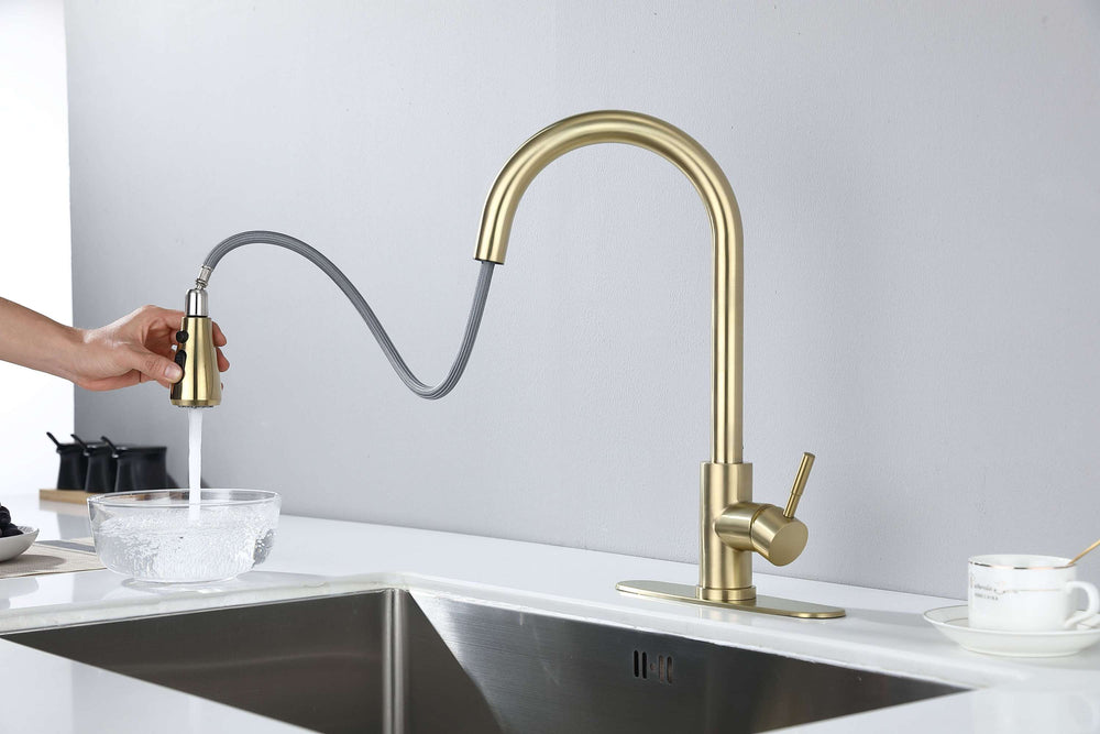 Spray & Shine Kitchen Faucet