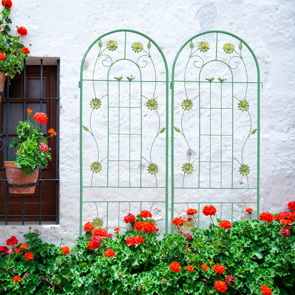 Climbing Plant Trellis Set - Rustproof Support for Your Garden