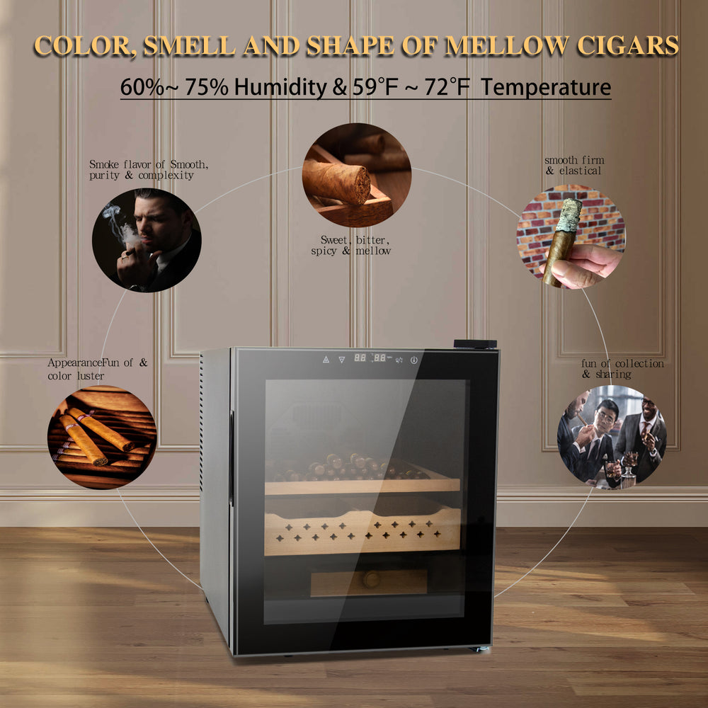 Cigar Oasis: All-in-One Humidor for Perfectly Preserved Cigars