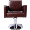 Chic Swivel Style Chair for Salon Comfort