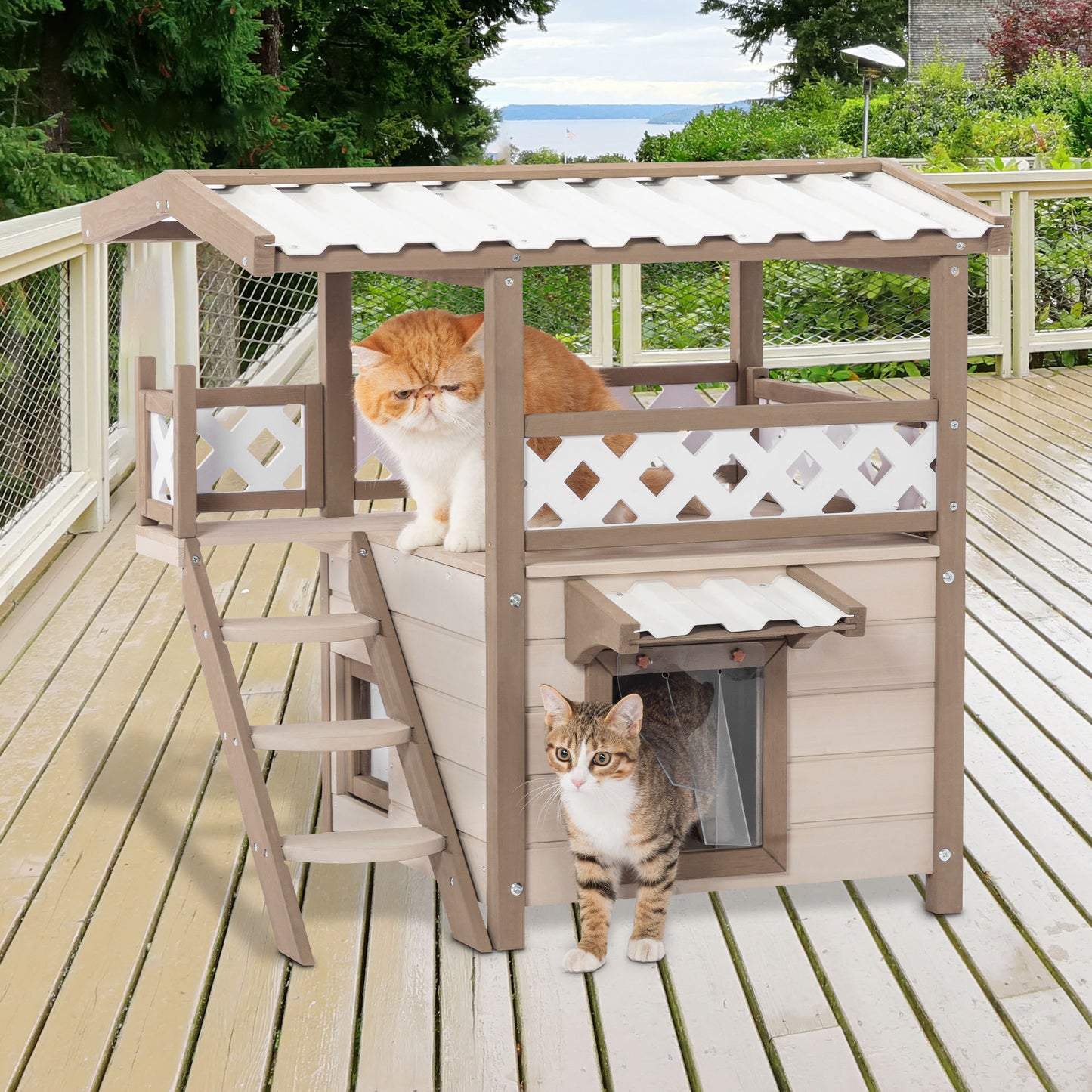 Cozy Cat Castle: Two-Story Feral Retreat with Escape Door and Curtains