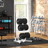 Soozier Olympic Weight Tree - Stylish Plate and Bar Storage Solution