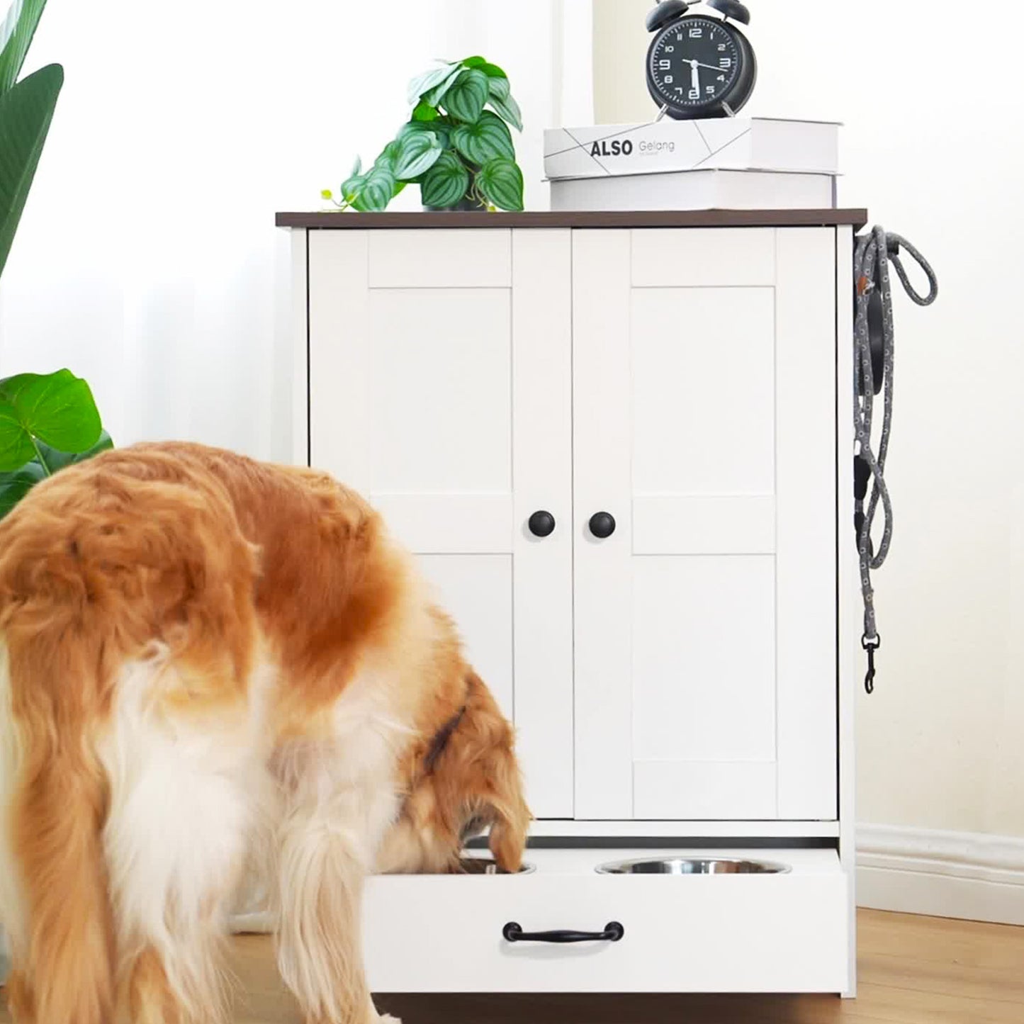 Chic Dog Feeding Station with Hidden Bowls & Storage