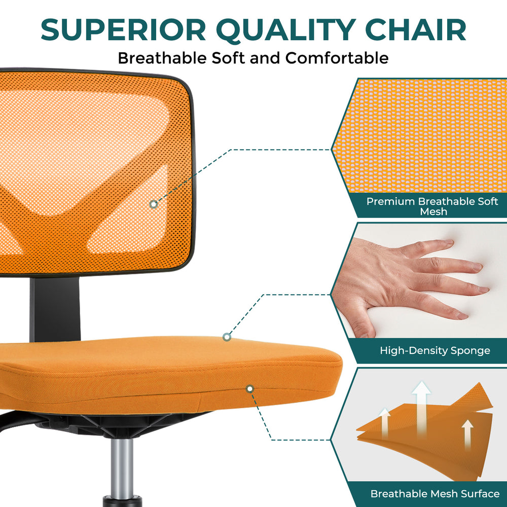 Cozy Lumbar Support Desk Chair