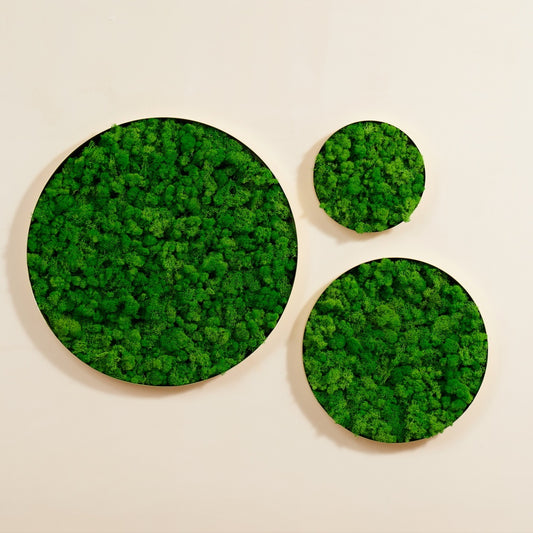 Charming Round Moss Wall Art Set