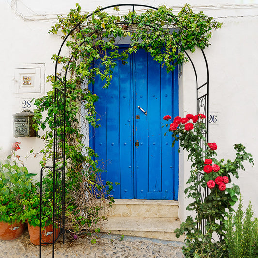 Elegant Garden Arch for Climbing Plants