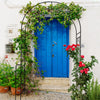 Elegant Garden Arch for Climbing Plants