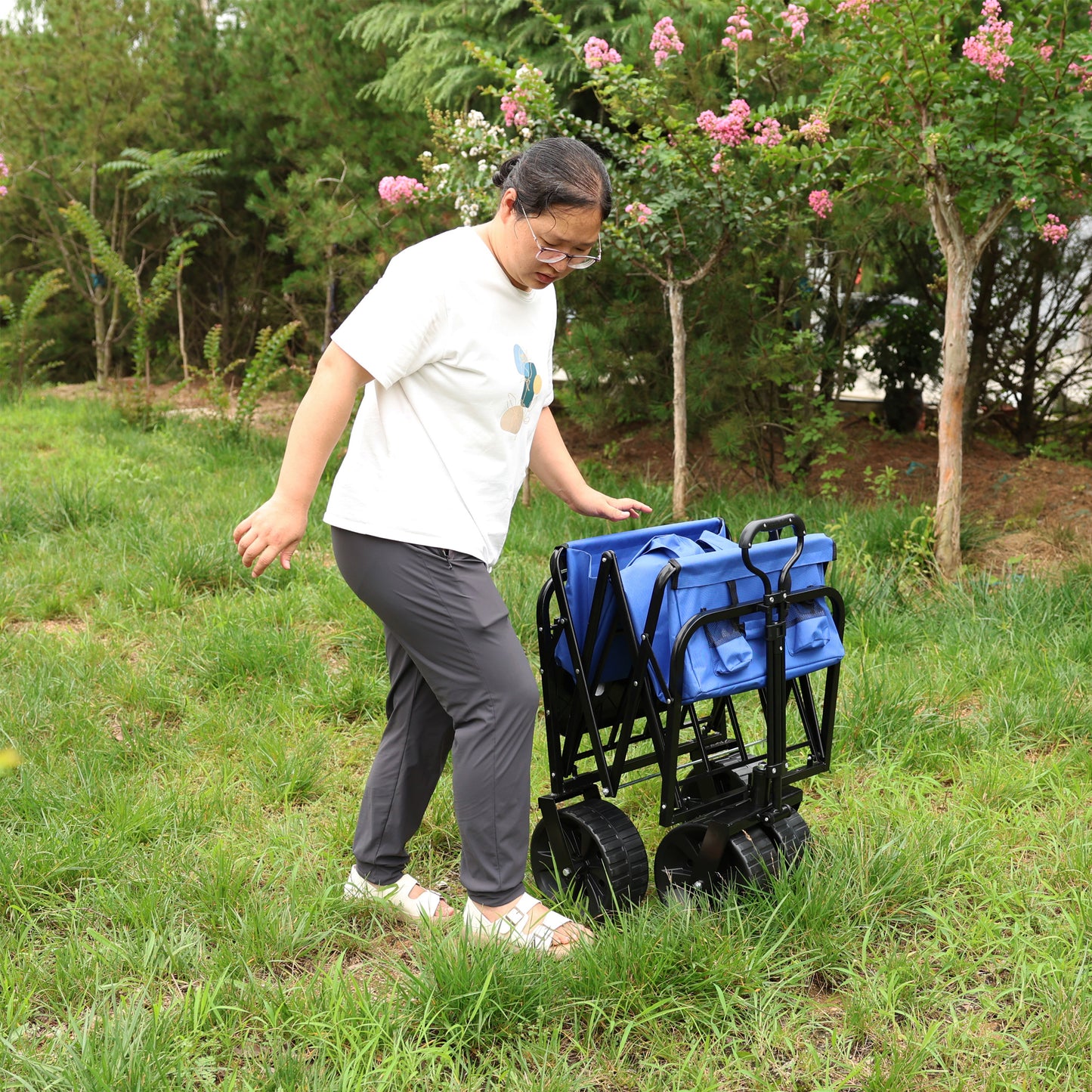 Blue Folding Wagon for All Your Adventures