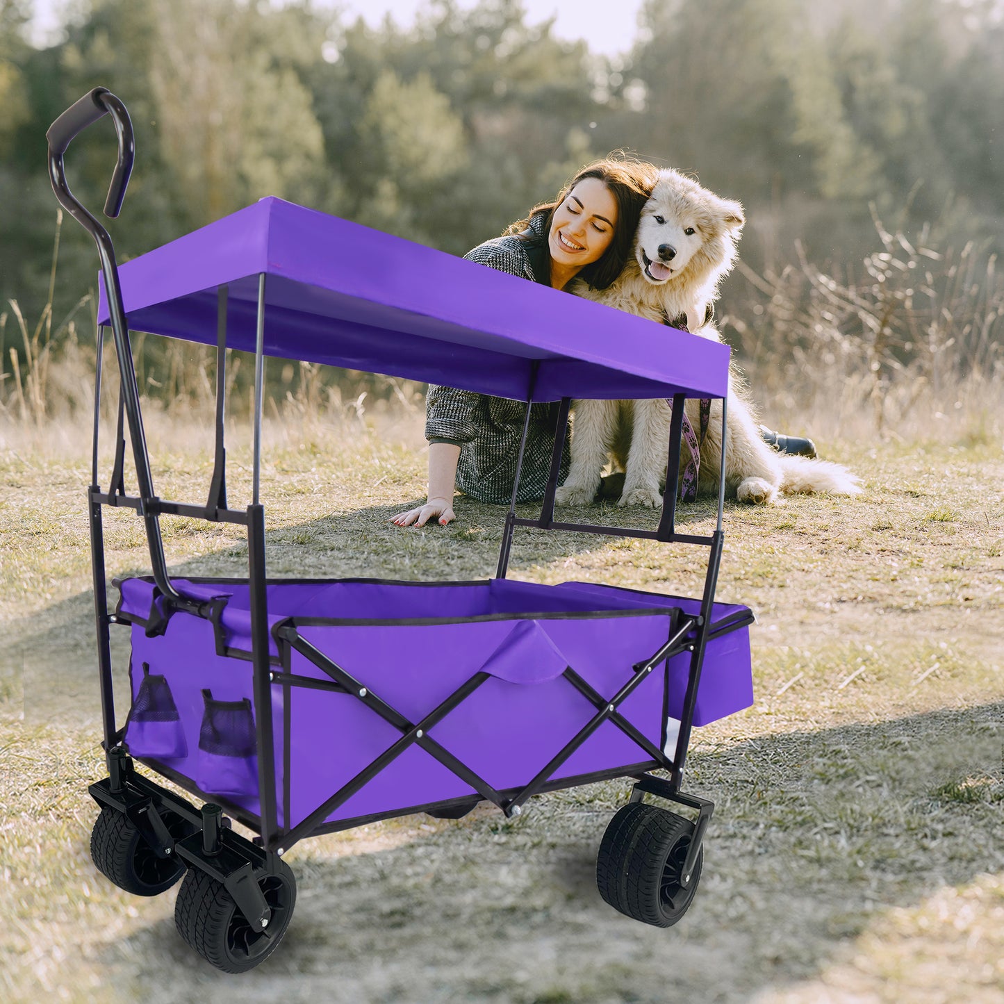 Adventure Wagon: The Ultimate Portable Kids' Trolley