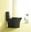 Eco-Friendly Comfort Height Toilet with Soft Close Seat