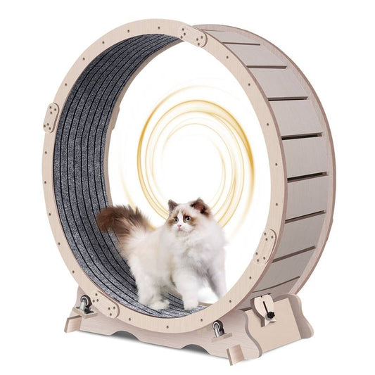 Purrfect Cat Fitness Wheel