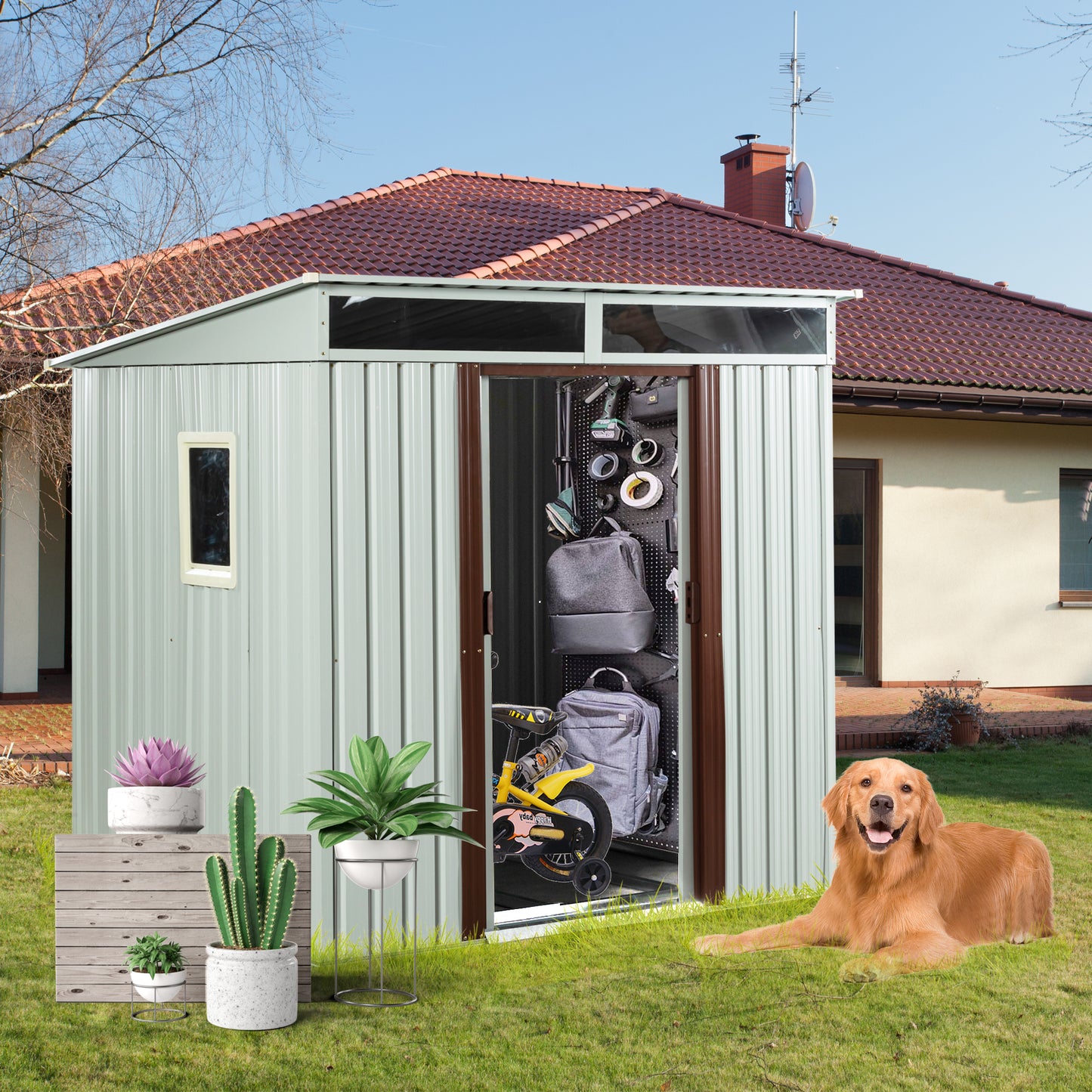 Bright Outdoor Metal Shed with Window