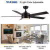 Sleek Black Ceiling Fan with Light