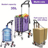 Stair Climber Shopping Cart