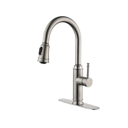 Sleek Arc Pull-Out Kitchen Faucet