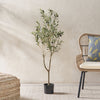 Lifelike Olive Tree Decor