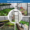 All-Season Walk-In Polycarbonate Greenhouse with Heavy-Duty Base