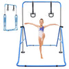 Bear Gymnastic Bar Set