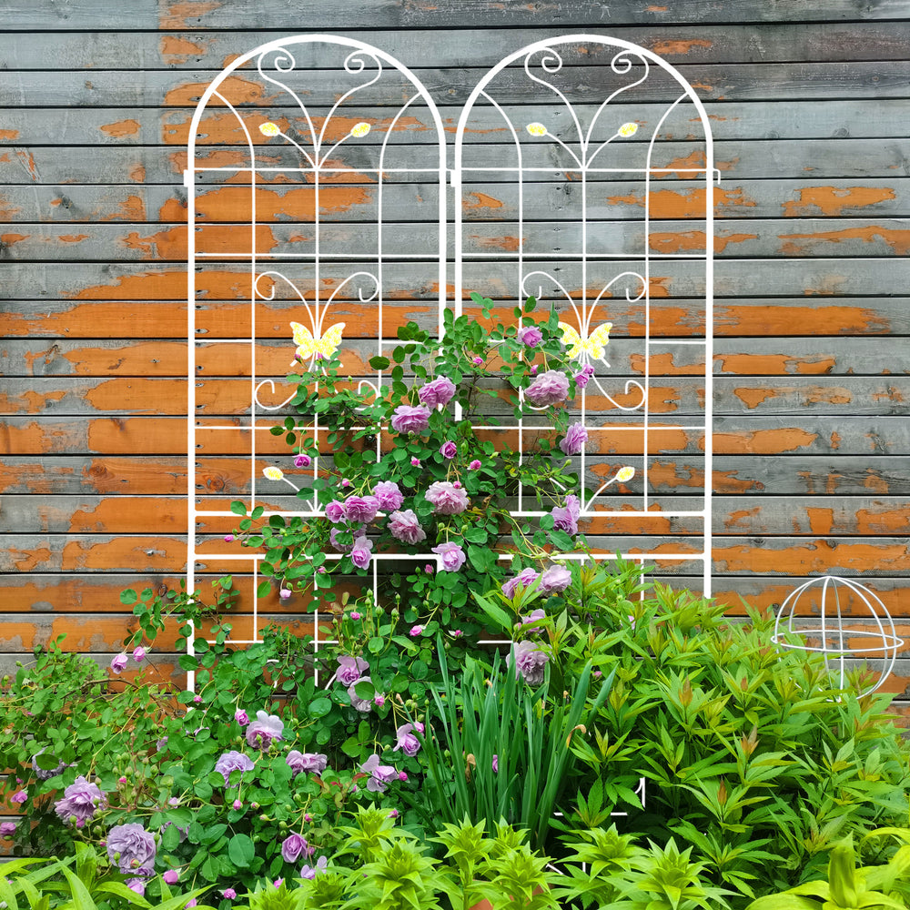 Garden Grace: Rustproof Trellis Duo for Climbing Blooms