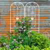 Garden Grace: Rustproof Trellis Duo for Climbing Blooms