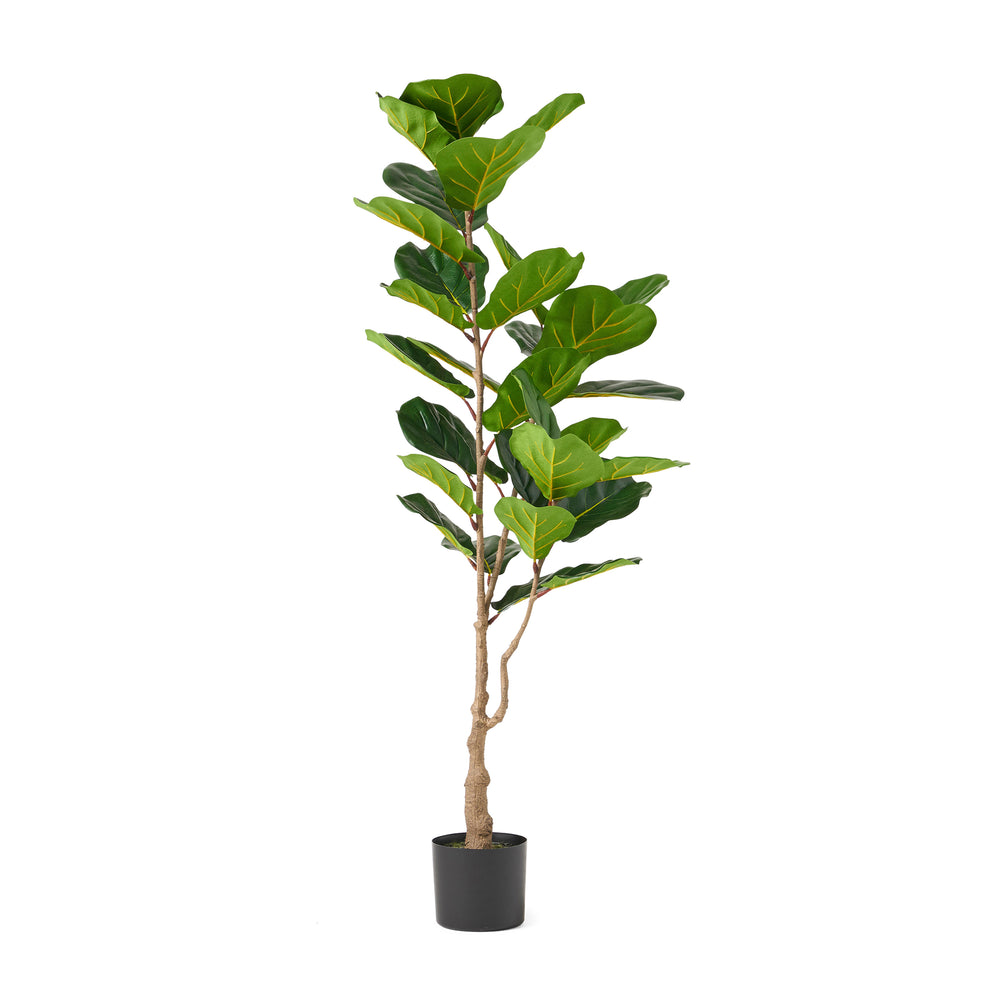 Lifelike Fiddle Leaf Fig Tree