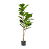 Lifelike Fiddle Leaf Fig Tree